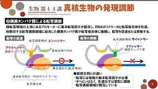 【高校生物】第44講「真核生物の発現調節」クロマチン構造・調節タンパク質による転写調節 [upl. by Lennahs642]