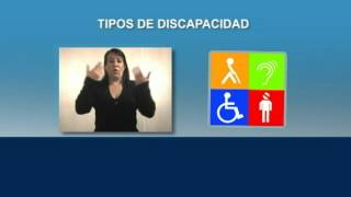 TIPOS DE DISCAPACIDAD [upl. by Trow103]