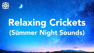 Night Time Summer Nature Sounds Cricket Conversations For Sleeping 12 Hours [upl. by Yllehs]