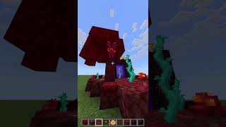 Nether Portal Designs pt4 Nether Takeover shorts minecraft [upl. by Yert]