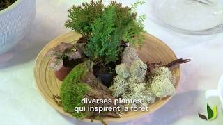 DIY terrarium de plantes  jardin miniature quotFontainebleauquot  Truffaut [upl. by Novek]