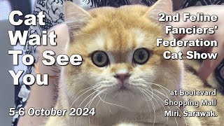 2nd Feline Fanciers Federation Cat Show on 56 October 2024 in Miri Sarawak [upl. by Wye452]