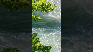 nature soundsbird sounds and water soundsshortsvideo naturesounds birdsounds watersounds [upl. by Ahsenor238]