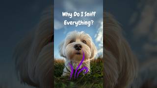 My AI Dog Reveals Why He Sniffs Everything [upl. by Eleni537]