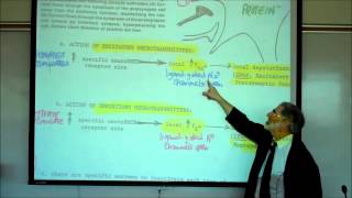 SYNAPTIC TRANSMISSION IN THE CNS PART 1 by Professor Fink [upl. by Asenab]