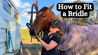 How to Fit a Bridle For The First Time  Horse Bridle Fitting Tutorial  Horse Saddlery Tutorial [upl. by Shelburne]