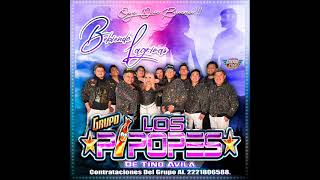 BEBIENDO LAGRIMAS 2023 LANZAMIENTO ROMANTICO DEL GRUPO LOS PIPOPES  CUMBIA MIX POBLANAS [upl. by Field]