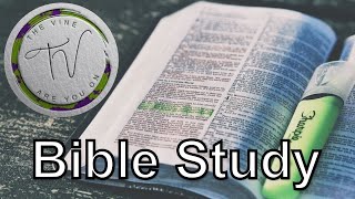 Vine Bible Study [upl. by Yvor868]