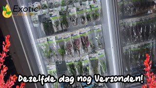 Over ons Aquaplants Direct systeem Prachtige Aquariumplanten met volgende dag levering [upl. by Eilema]