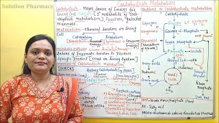 01 Introduction to Carbohydrate Metabolism  Metabolic Pathways of Carbohydrate  Biochemistry [upl. by Letha522]