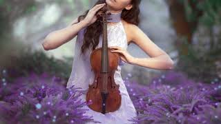 Relaxing Music 💜 Violin Cello amp Piano 💜 Purple Fields Scenic Relaxation [upl. by Nyrmak278]