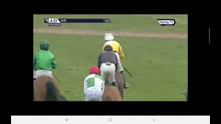 Kingston James wins at Ayr 9 March 2024 [upl. by Aidin908]