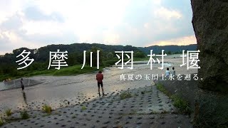 玉川上水沿いに羽村堰までサイクリング [upl. by Noah]