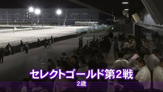 【セレクトゴールド第2戦 2歳】2024 917 名古屋競馬場 優勝馬カワテンティアラ号 [upl. by Akimot]