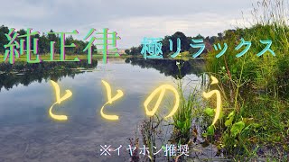 広告なしイヤホン推奨川の音純正律せせらぎリラックスrelax心を整える安眠自然の音ストレス解消整える音浴癒し音楽 [upl. by Leinahtam]