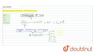 During photocatalytic splitting of water liberation of O2 requires  11  PHOTOSYNTHESIS IN [upl. by Aneehsar384]