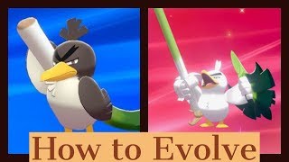 HOW TO EVOLVE Farfetchd into Sirfetchd  EasiestBest Method Pokemon Sword and Shield [upl. by Conyers]