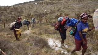 Seven Summits  Carstensz Pyramid 2015 [upl. by Nimajaneb]