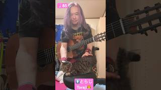 2024年8月15日 ギター練習ガットギター Guitar Practice  Classical Guitar Spanish Romance ♩85 [upl. by Ahsyek]