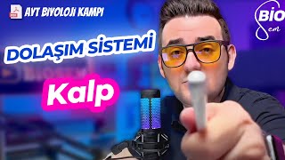 Dolaşım Sistemi1 Kalp  Ayt Biyoloji Konu Anlatımı 11 Sınıf  2024 [upl. by Fabian]