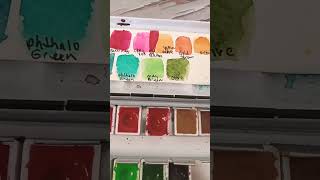 How to Mix Perylene Violet  shorts Watercolor Painting for Beginners [upl. by Azilem342]