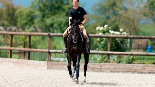 OlympiaPorträt 2016 Steve Guerdat  Springreiten  Reiten  Olympische Spiele  Rio 2016 [upl. by Aniles]