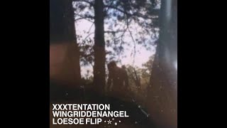 WingRiddenAngels  XXXTentation 𖤐 Loesoe Flip [upl. by Dyrraj681]