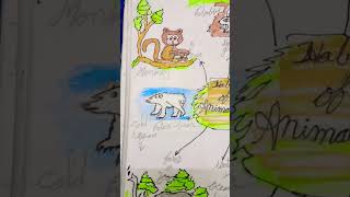 Habitat Of Animals  Class 4  Evs Activity [upl. by Wiese]