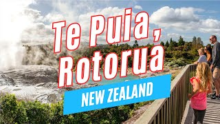 Explore TE PUIA in Rotorua North Island New Zealand  Video Tour [upl. by Neeneg]