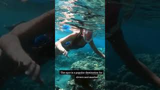 Uncover the Magic of Mauritius Underwater Waterfall  Best Places to Visit Mauritius [upl. by Psyche]