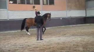 School Trot Oscar [upl. by Reste]