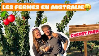 VAGAVLOG 10  La vérité sur les fermes en Australie 🇦🇺👷🏽 [upl. by Edwina]