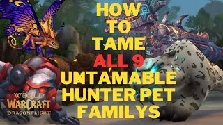 How to tame ALL 9 untamable hunter pet familys in wow retail [upl. by Eiryt]