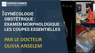 Webinar Gynécologie Obstétrique  Examen morphologique  Les coupes essentielles [upl. by Esnahc675]