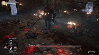 Dark Souls Archthrones Demo Disgraced Knight Boss Fight [upl. by Adniroc]