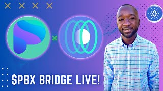 Paribus ETH to ADA ChainPort Bridge Live [upl. by Nediarb]