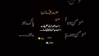 Hazrat Ali RA quotes 🍁 quotes hazrataliquote ytshortsvideo youtubeshorts virqlshorts islamic [upl. by Salema543]