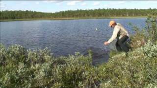 Lars Monsen  Ett År I Fisk nordkalotten 365 kavalkade [upl. by Tolmach846]