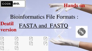 Bioinformatics  File Formats Part1 FASTA vs FASTQ  HANDS ON  NGS  LINUX  BEGINNER [upl. by Eisdnyl]