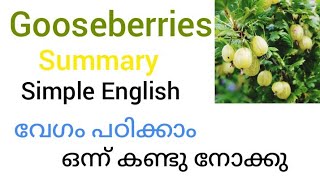 gooseberries story in Malayalam [upl. by Maisey]