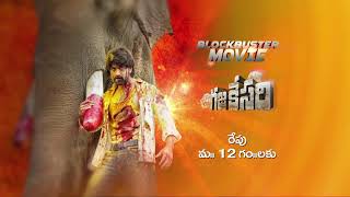 Watch Blockbuster Movie Gajakesari this Sunday June 13 at 12 PM only on ZEE Telugu [upl. by Yarvis]