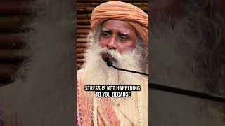 Stress Management Sadhguru [upl. by Inalel]