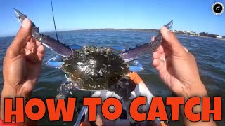 How to Catch Blue Swimmer Crabs  What Bait to Use  Drop Netting [upl. by Juna599]