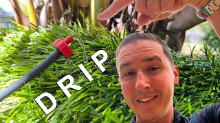 How to Install a Rain Bird Drip Irrigation System [upl. by Christiansen]