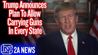 Trump Announces Plan To Allow Carrying Guns In Every State [upl. by Ainej620]