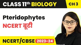 Pteridophytes  NCERT बूटी  Plant Kingdom  Class 11 Biology Chapter 3  NCERTCBSE [upl. by Remliw]