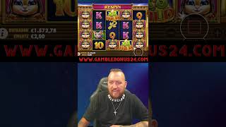 Cleocatra 🐱macht die bisher besten respins in der gambleworld casino bonus deutsch katze cat [upl. by Attennhoj]