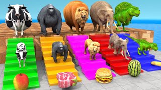 Cow Elephant Lion Gorilla TRex Choose the RIGHT Animal ESCAPE ROOM CHALLENGE Animal Cage Game [upl. by Aryas]