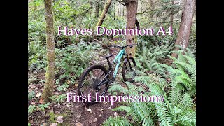 Hayes Dominion A4 First Ride Impressions [upl. by Jer]