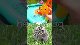 Learn Animal Names for Babies Toddlers Kids  Waterslide Bounce  Rabbit Pig Hedgehog Duck Crocodile [upl. by Opal]